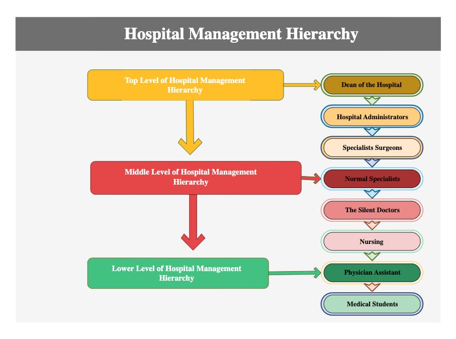 Hospital Management Hierarchy