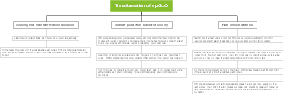 Transformation of pGLO