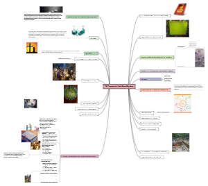 My Life Project Sonia's Mind Map