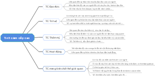 Tình cảm cấp cao