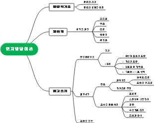 인지발달이론