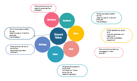 McKinsey 7-S Model 