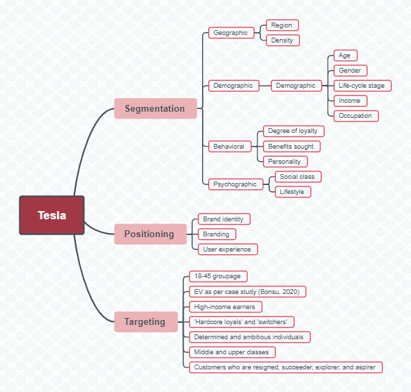 Tesla-Segmentation, Targeting, and Positioning