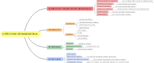 ESTRUTURA ORGANIZACIONAL