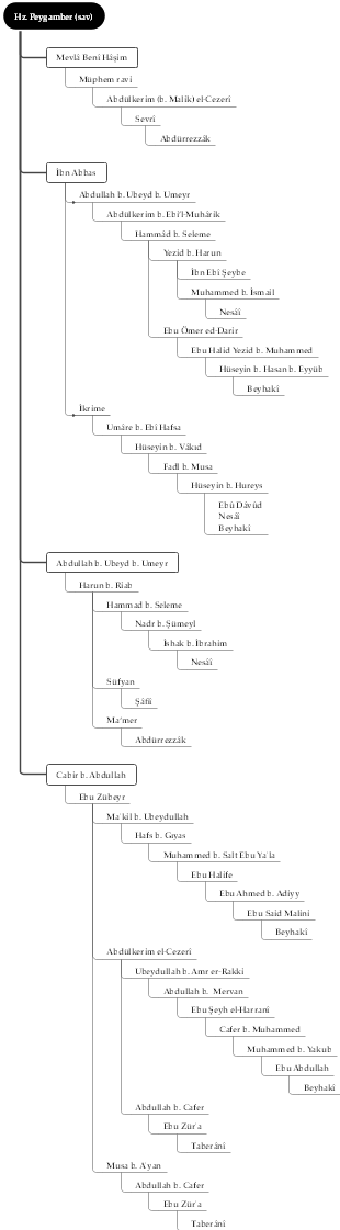 Ted's Mind Map of Experience