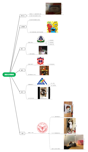 我的生长历程——人生阶段与经历回顾