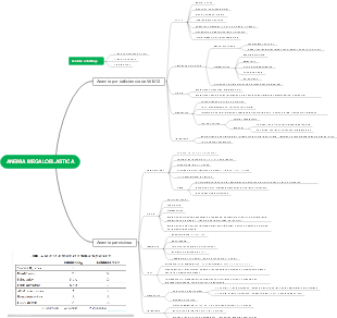 ANEMIA MEGALOBLASTICA