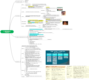 10-malformaciones congenitas