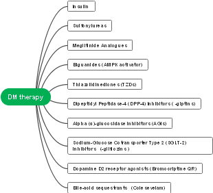 Diabetes Management Therapy