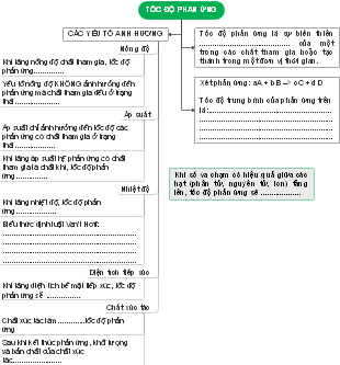 TÓC ĐỘ PHẦN ỨNG