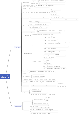 Nghiên cứu tiến sáng tạo