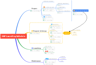 ERP Launching Schedule