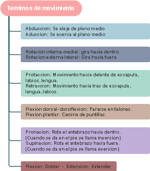 "Terminos de movimiento（运动术语）"