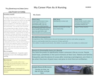 Career Plan as a Nurse
