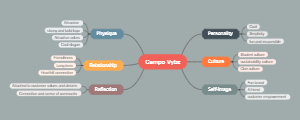 Campo Vybz's mind map