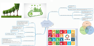 Sustainable Development