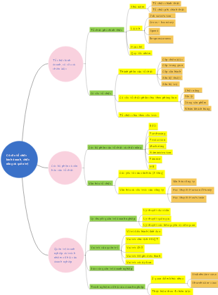 Business Organization Structure, Functions, and Governance