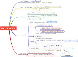 Sơ đồ tư duy về Đơn chất Halogen