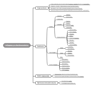 The company's mind map