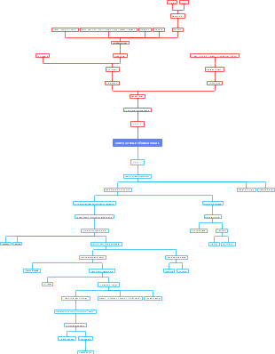 CANTO CORAL E TÉCNICA VOCAL