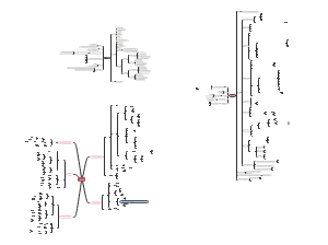 Parasitic mind maps