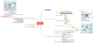 Lập Bản Đồ Tư Duy (How to mind map)