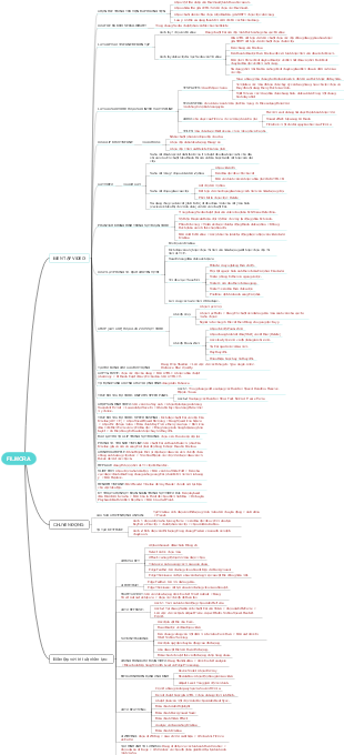 "Quy Trình Sản Xuất Video（视频制作流程）"