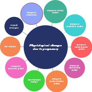 Physiological changes due to pregnancy