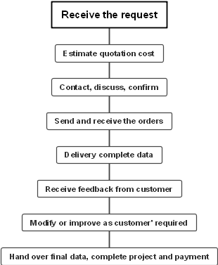 Project Process