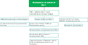 Mechanism of action of PD-1