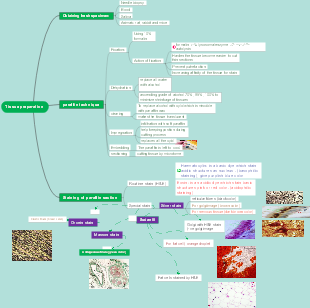 Tissue preparation