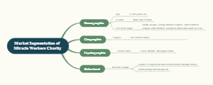 Market Segmentation of Miracle Workers Charity