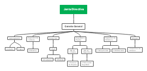 "Estructura Organizacional de la Junta Directiva"