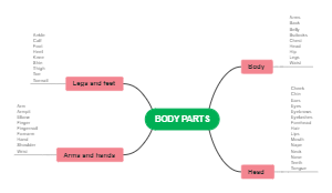 Body Parts Classification: Structured Anatomy Overview