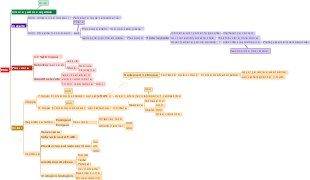 Etilene: ormone gassoso vegetale