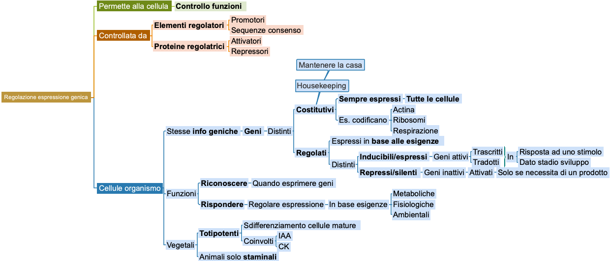 Regolazione espressione genica