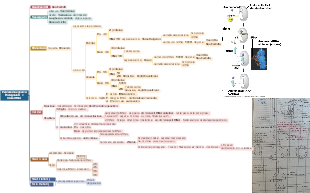 Traduzione esperimenti: geni e metabolismo