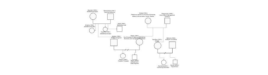 Career Genogram