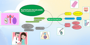 Métodos Contraceptivos