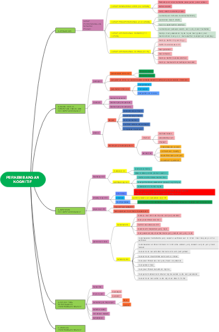 Cognitive Development 