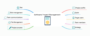 Software project management