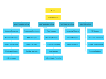 CEO Organizational Chart