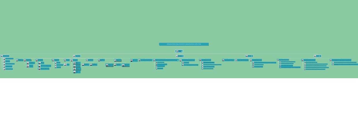 Ethiopian Public Health Institute Organizational Structure