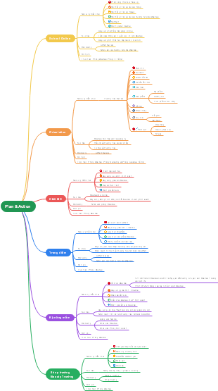 Plan & Action