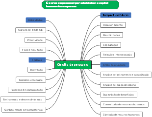 Gestão de Pessoas: Habilidades, Pilares e Estratégias Futuras
