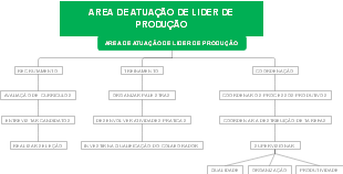 AREA DE ATUAÇÃO DE LIDER DE PRODUÇÃO