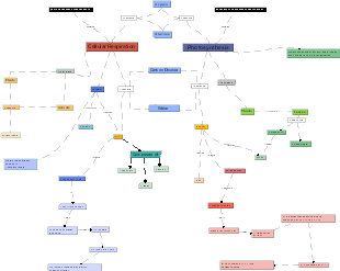 Cellular Respiration and Photosynthesis