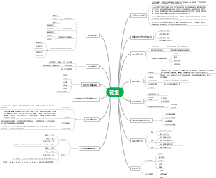 花生知识全解析思维导图