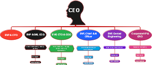 Company Organizational Structure