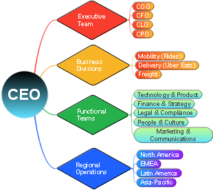 Organizational Structure Under CEO
